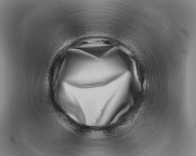 X0000112100256200908251156