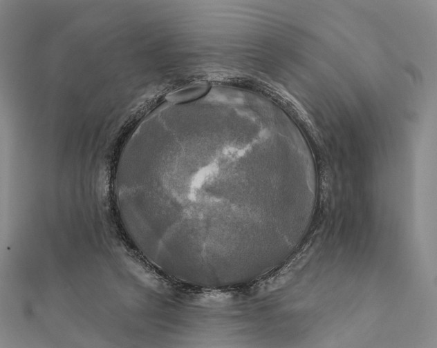 X0000112100257200908251156