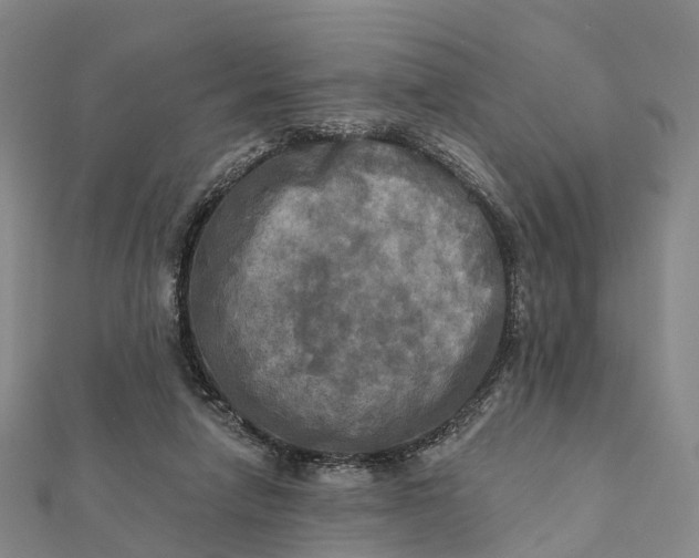 X0000112100258200908251156