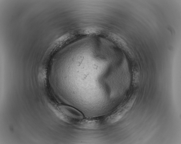 X0000112100260200908251156