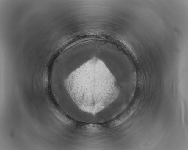 X0000112100261200908251156