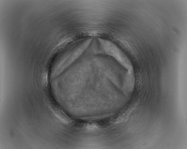 X0000112100262200908251156