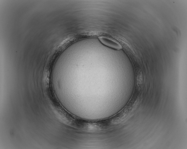 X0000112100264200908251156