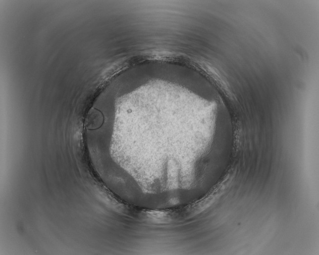 X0000112100265200908251156