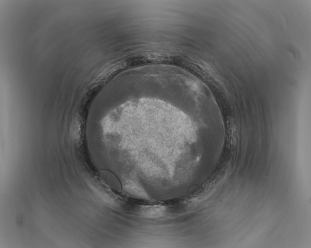 X0000112100266200908251156