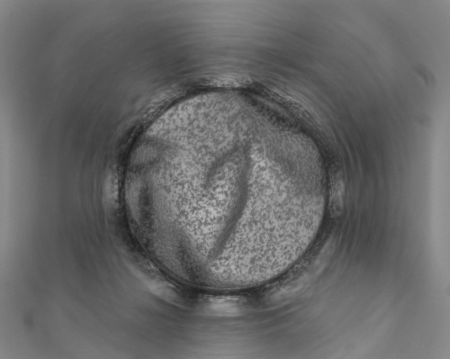 X0000112100268200908251156