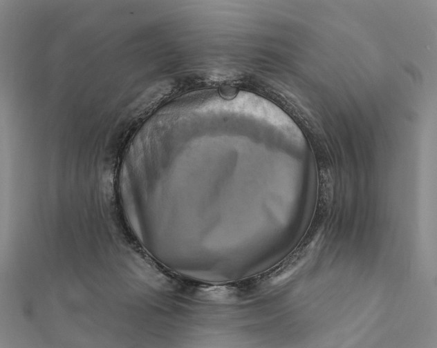 X0000112100269200908251156