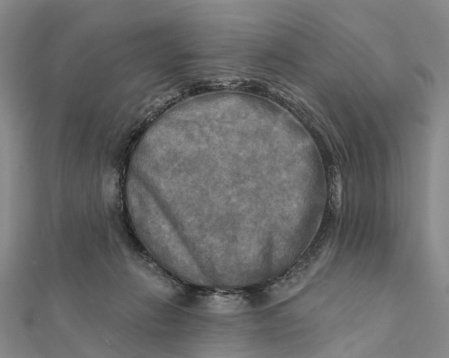 X0000112100270200908251156