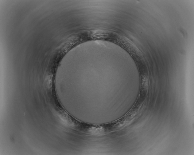 X0000112100271200908251156