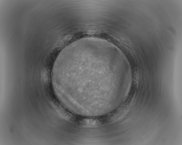 X0000112100272200908251156