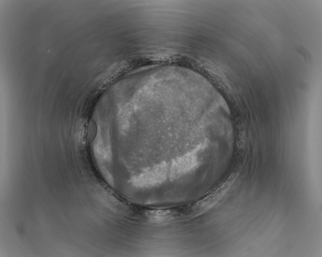 X0000112100273200908251156