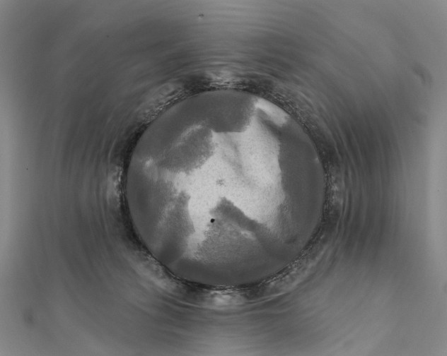 X0000112100275200908251156