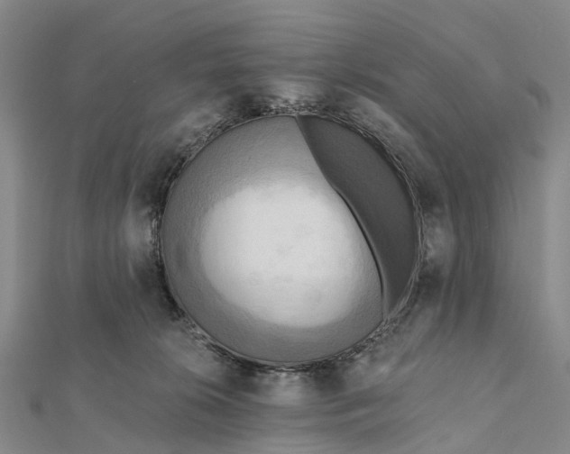 X0000112100276200908251156