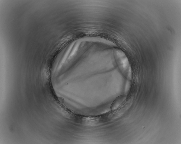 X0000112100277200908251156