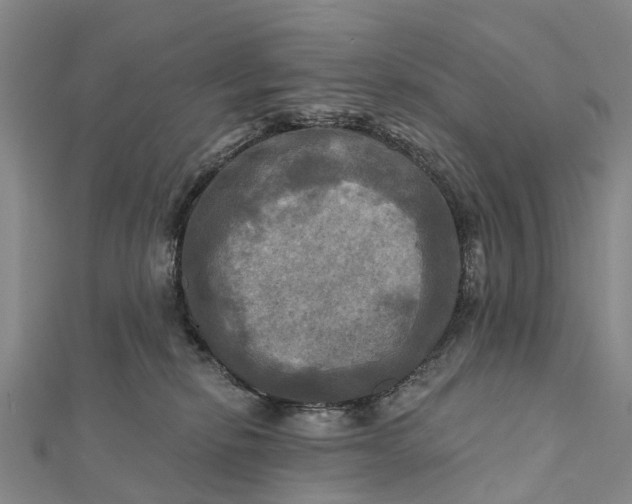 X0000112100278200908251156