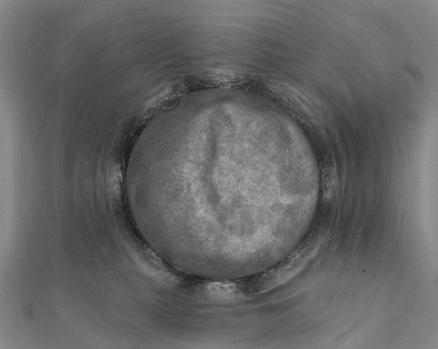 X0000112100279200908251156