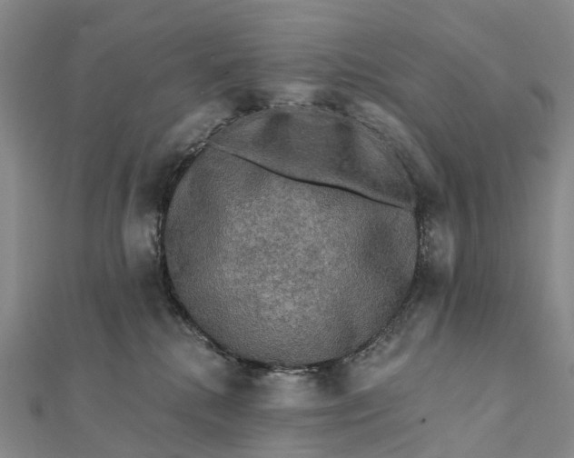 X0000112100280200908251156