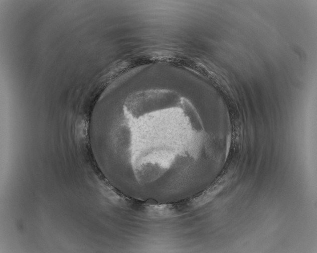 X0000112100281200908251156