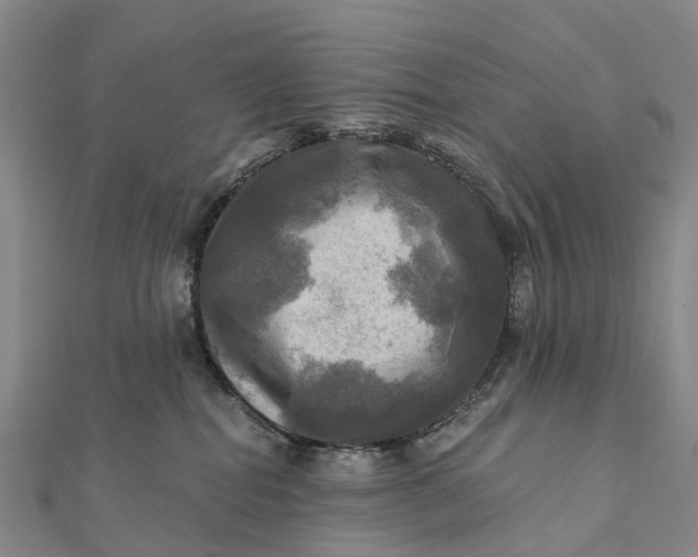 X0000112100282200908251156