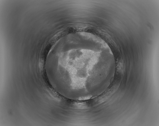 X0000112100283200908251156