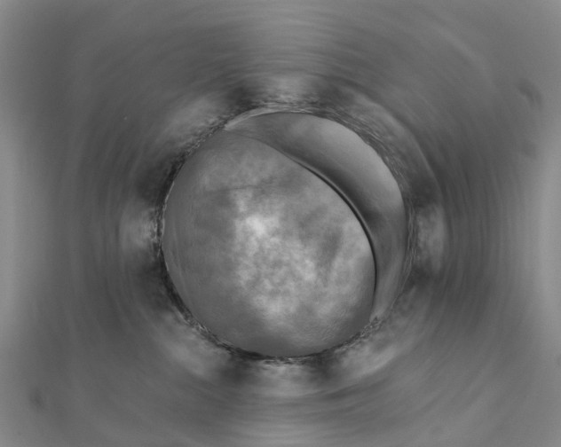 X0000112100284200908251156