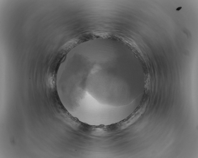 X0000112100285200908251156