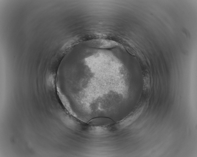 X0000112100286200908251156