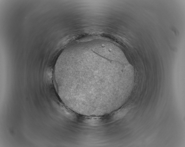 X0000112100288200908251156