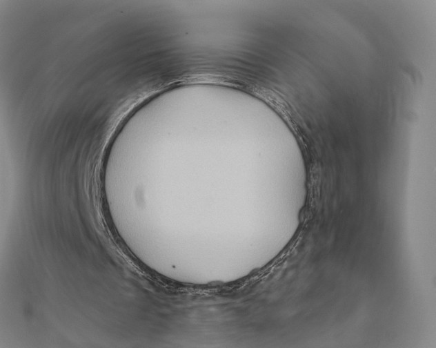 X0000112100289200908251156