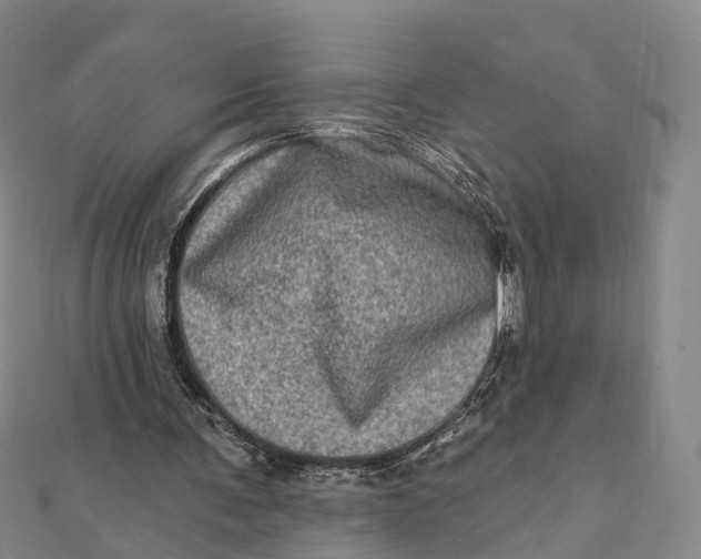 X0000112100291200908251156