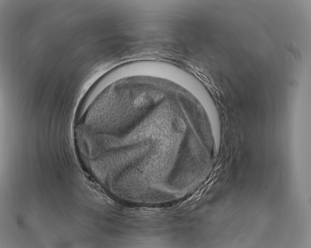 X0000112100292200908251155