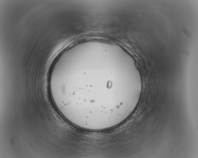 X0000112100293200908251155