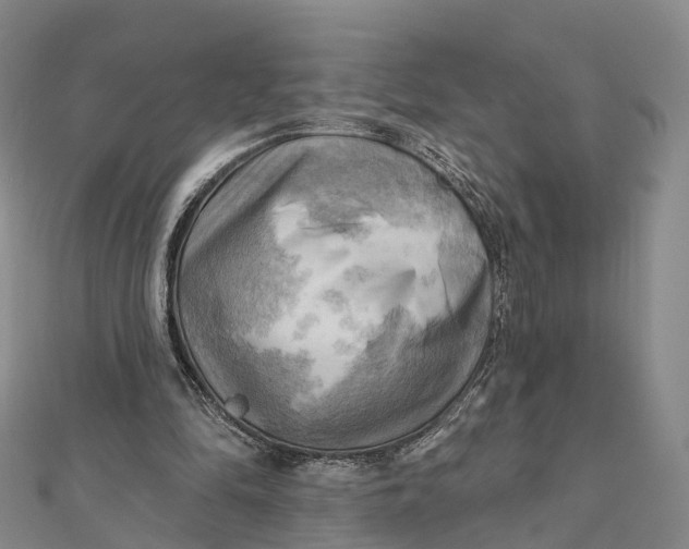 X0000112100294200908251155