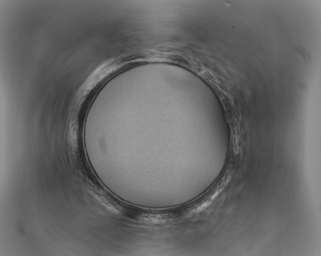 X0000112100295200908251155