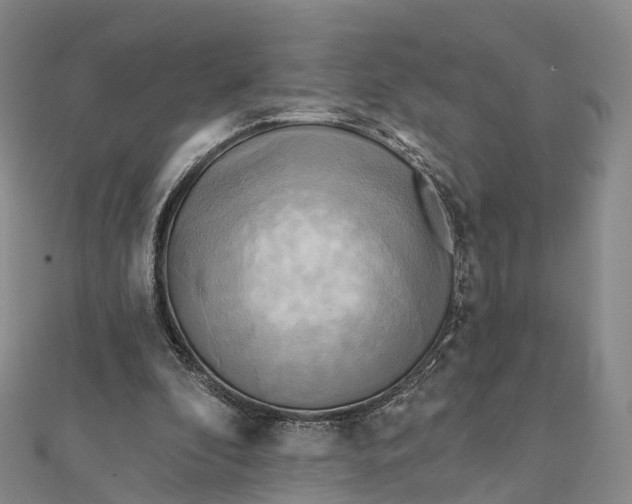 X0000112100296200908251155