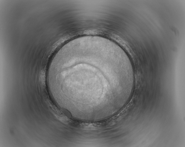 X0000112100297200908251155