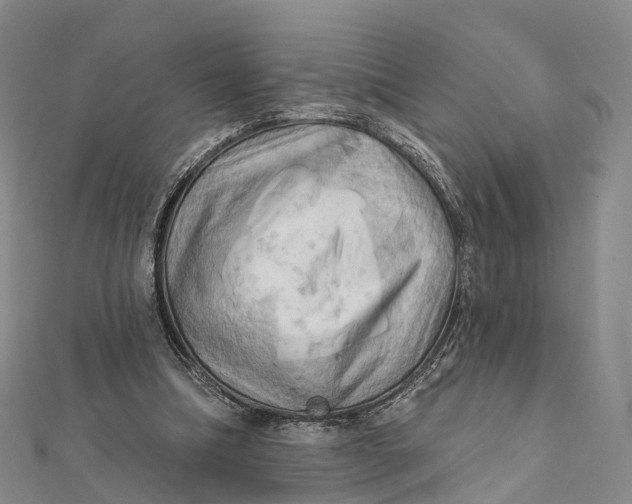 X0000112100298200908251155