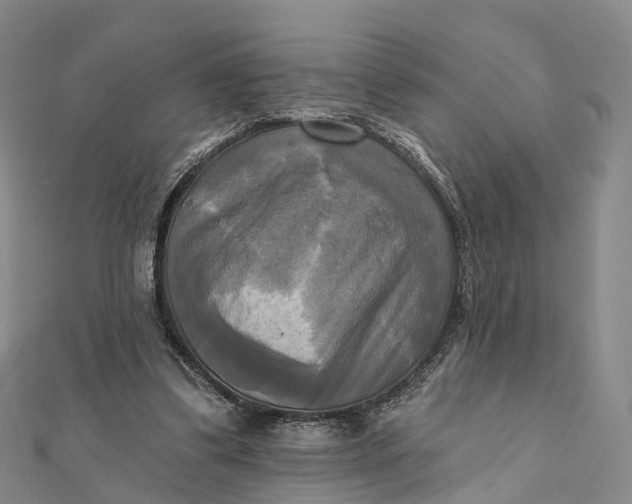 X0000112100299200908251155