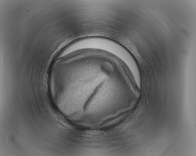 X0000112100300200908251155