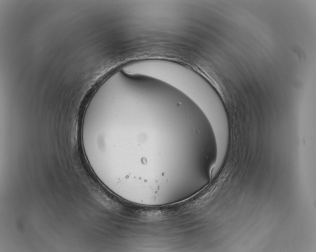 X0000112100301200908251155