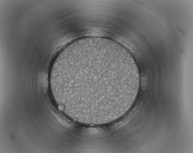 X0000112100302200908251155