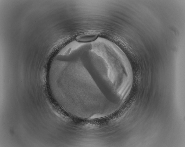 X0000112100303200908251155