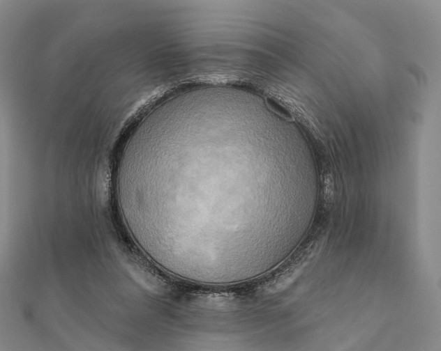 X0000112100304200908251155