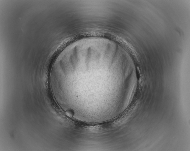 X0000112100306200908251155