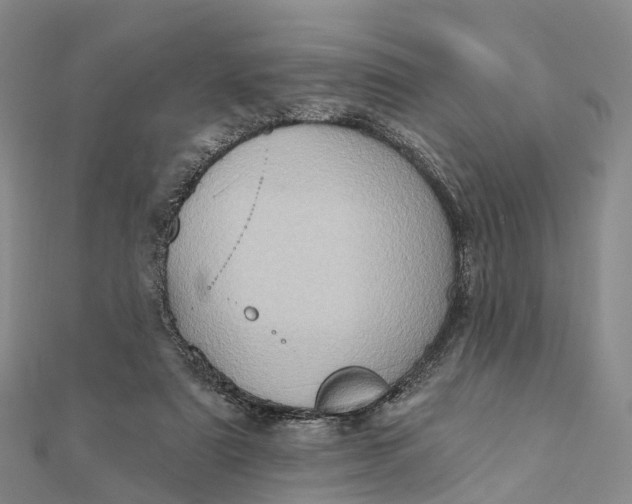 X0000112100307200908251155