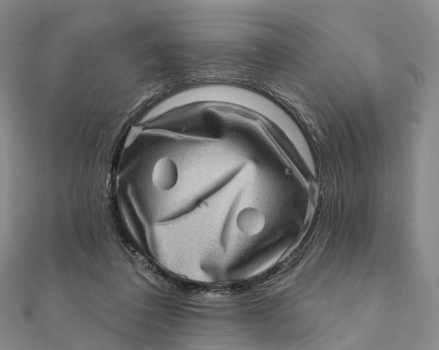 X0000112100308200908251155