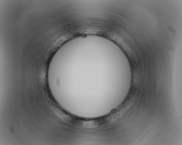 X0000112100309200908251155