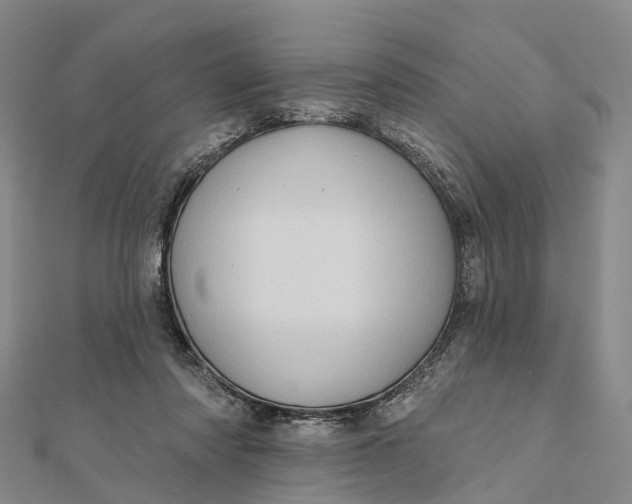 X0000112100310200908251155