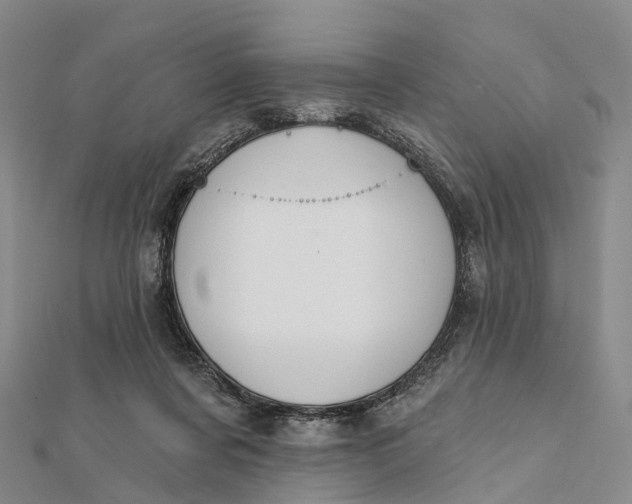 X0000112100311200908251155