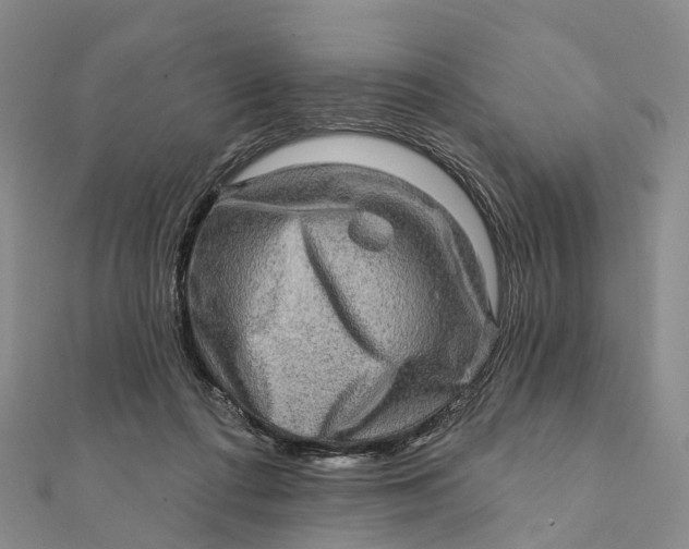 X0000112100312200908251155